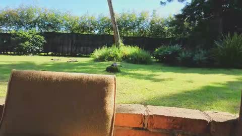 Matt Sweet online show from 14, 1, 2026