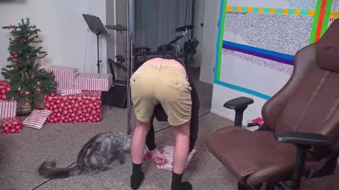 Matt Cash online show from 19, 12, 2024