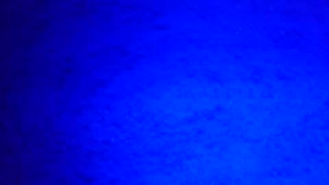 Snapshot of mauriciano2018 chatting on 29, 12, 2024 Ignacio online show from 29, 12, 2024