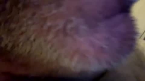 Snapshot of maverick7000 chatting on 23, 2, 2025 maverick7000 online show from 23, 2, 2025