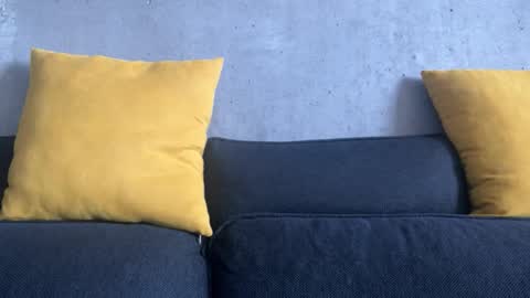    online show from 20, 12, 2025