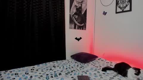 Alex online show from 3, 3, 2025