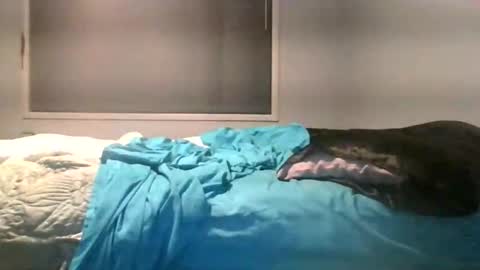 Snapshot of maximus_oreally chatting on 4, 6, 2026 Max online show from 4, 6, 2026