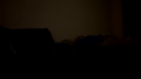 Snapshot of mb99667788 chatting on 24, 2, 2026 mb99667788 online show from 24, 2, 2026