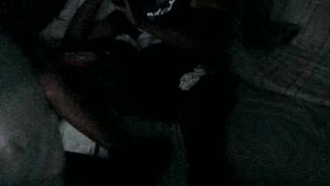 mdd2log online show from 20, 3, 2026