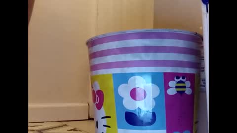 meaderd740870 online show from 23, 1, 2025