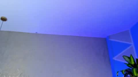 Medusa Ts online show from 23, 11, 2025