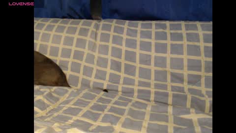 Meg4n Miauuuu online show from 19, 2, 2025