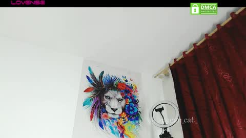 megan_cat online show from 13, 11, 2025