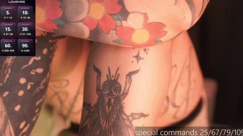 Snapshot of megan_evaans chatting on 14, 12, 2024 welcome guys   please  help me to reach 100 hands up Thanks  online show from 14, 12, 2024