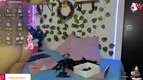 Snapshot of megan_xoxo1 chatting on 6, 12, 2024 Megan online show from 6, 12, 2024