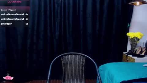 Snapshot of meganadriels96 chatting on 31, 12, 2024 M E G A N online show from 31, 12, 2024