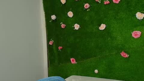 megatitts_ online show from 6, 1, 2026