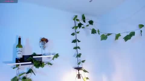 Snapshot of melanieecox chatting on 14, 7, 2026 Melanie online show from 14, 7, 2026