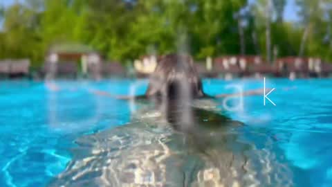 Adel online show from 12, 12, 2024