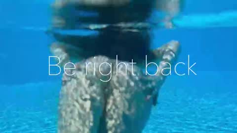 Adel online show from 16, 2, 2026