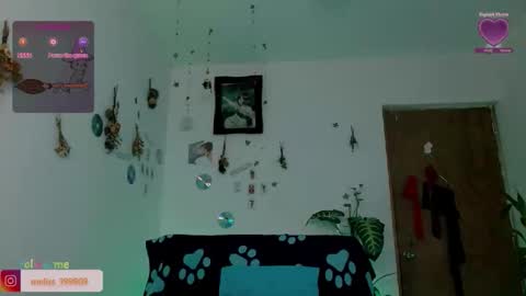 Snapshot of meliss1 chatting on 3, 5, 2026 melissa online show from 3, 5, 2026