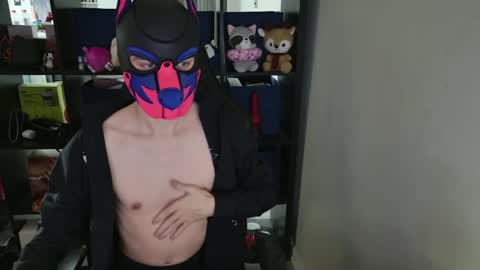 MellPUP online show from 2, 4, 2026