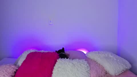    online show from 31, 1, 2025