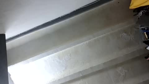 melodycharlotte online show from 1, 11, 2025