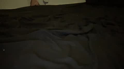 melt13 online show from 13, 11, 2025