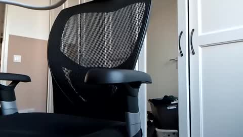 Snapshot of mendosajuan chatting on 4, 3, 2025 DutchFun Cock online show from 4, 3, 2025