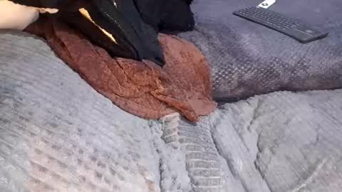 Giorggio Fragacci online show from 10, 4, 2026