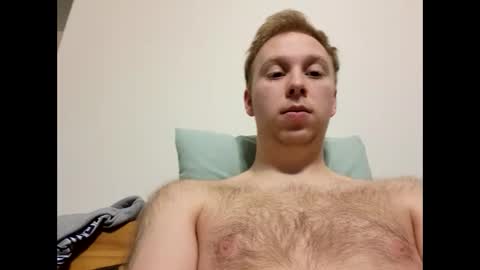 meow732 online show from 17, 11, 2025