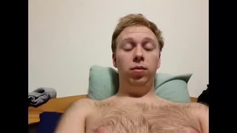 meow732 online show from 26, 11, 2025