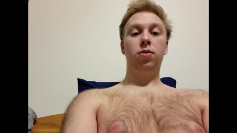 meow732 online show from 4, 12, 2025