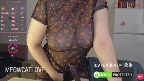 Snapshot of meowcatlove chatting on 25, 1, 2025 meowcatlove online show from 25, 1, 2025