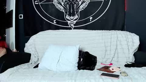 meowroslava online show from 17, 11, 2025