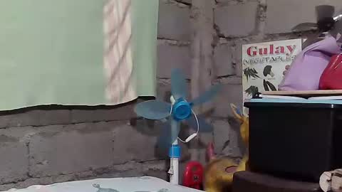 merietiny online show from 22, 1, 2025