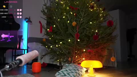 Stella online show from 26, 12, 2024