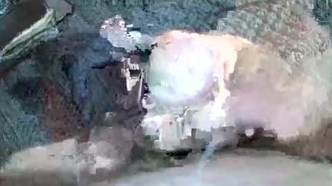 mexianthehawk online show from 3, 11, 2025