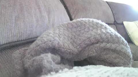 mexianthehawk online show from 18, 4, 2026