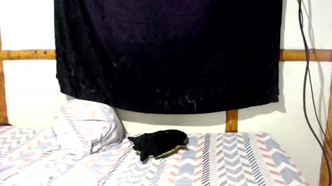 Mia  Sam online show from 16, 12, 2025