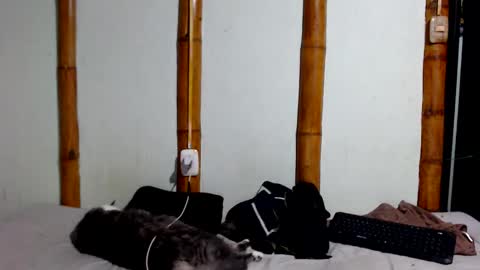 Snapshot of miahells chatting on 17, 1, 2026 Mia Sam online show from 17, 1, 2026