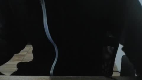 Snapshot of miamorr_ chatting on 3, 2, 2026 miamorr_ online show from 3, 2, 2026