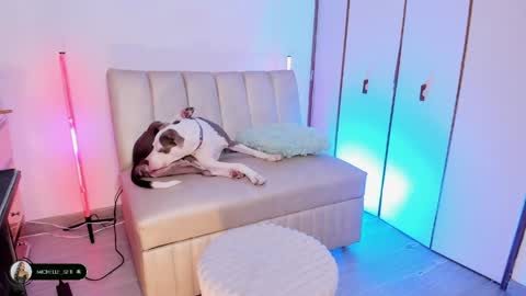 Michelle online show from 15, 4, 2026