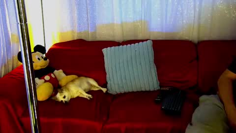 Mickey online show from 28, 2, 2025