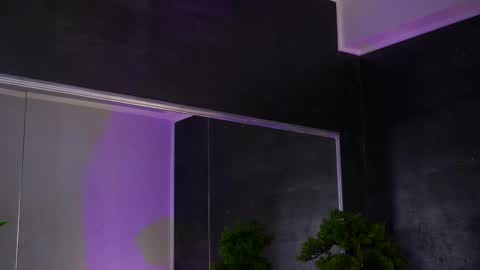 Alice online show from 8, 2, 2025