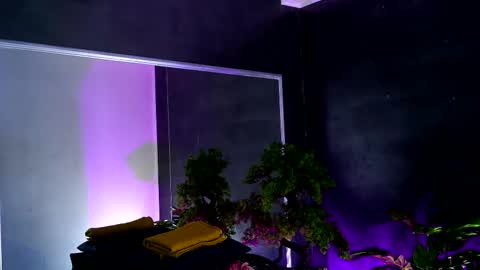 Alice online show from 13, 2, 2025