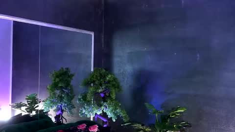 Alice online show from 7, 3, 2025