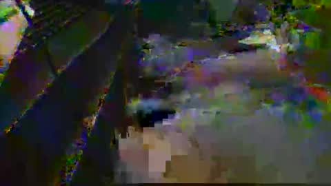 Snapshot of midtownhustler chatting on 25, 3, 2026 midtownhustler online show from 25, 3, 2026