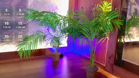 Snapshot of miiaa_cooper chatting on 19, 5, 2026 CALL ME MIA online show from 19, 5, 2026