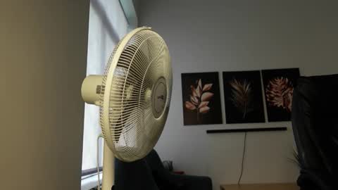 MIKE PLATANO online show from 4, 10, 2025