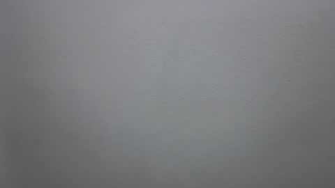 Snapshot of mikehannigan123 chatting on 19, 2, 2026 mikehannigan123 online show from 19, 2, 2026