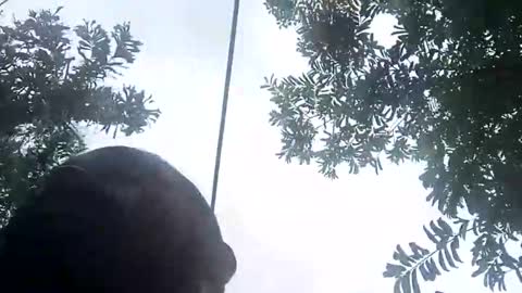 miky17cm online show from 12, 1, 2026