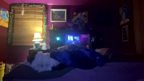 mil8207 online show from 17, 12, 2025